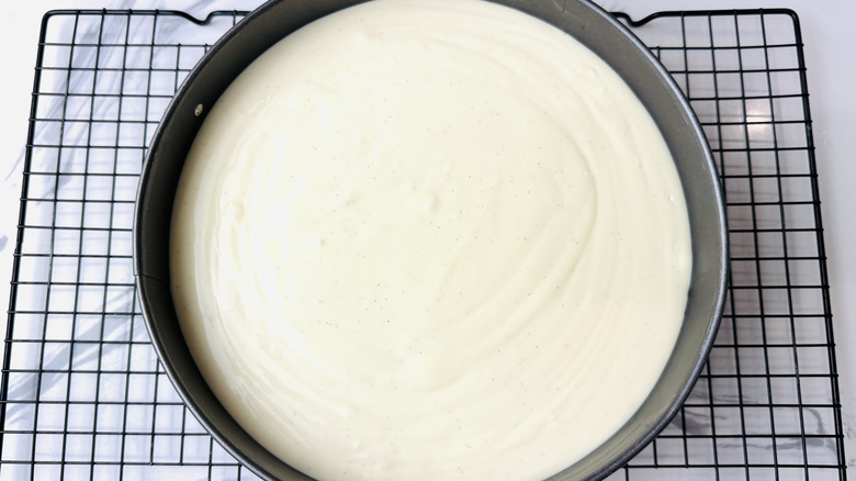 Cheesecake in pan
