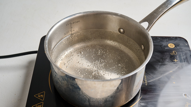 pot of water boiling on stove