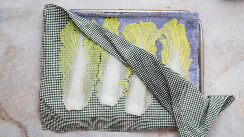 cabbage leaves in between towels