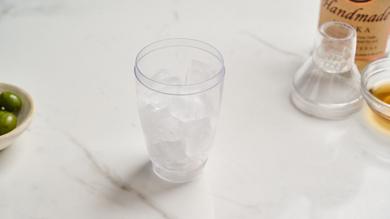 cocktail shaker filled with ice