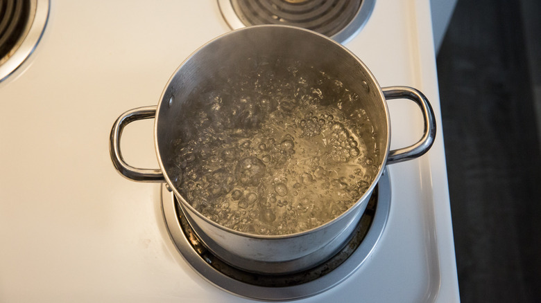 water boiling in medium pot