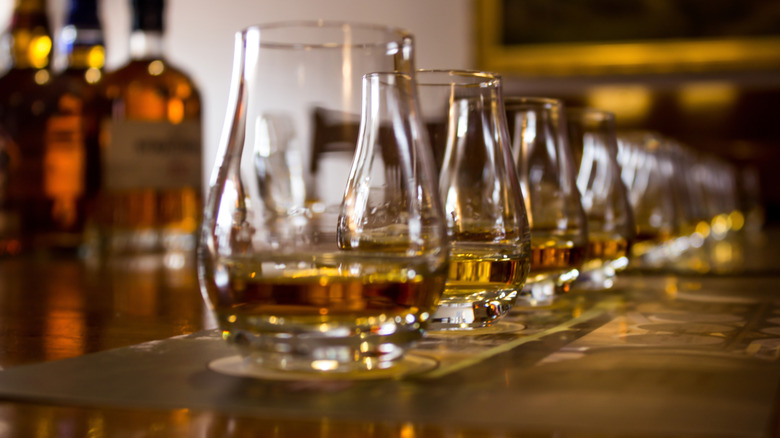 View of Scotch whisky in glasses on a table for tasting