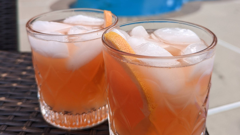 Italian Greyhound cocktails on patio table