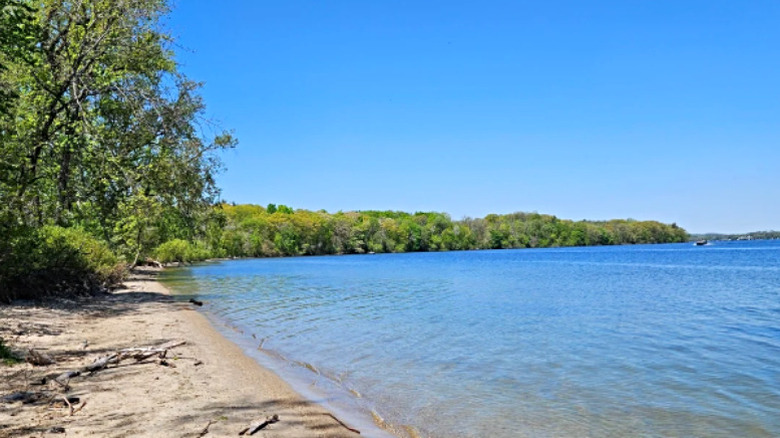 Picnic Point Beach on Lakeshore Preserve