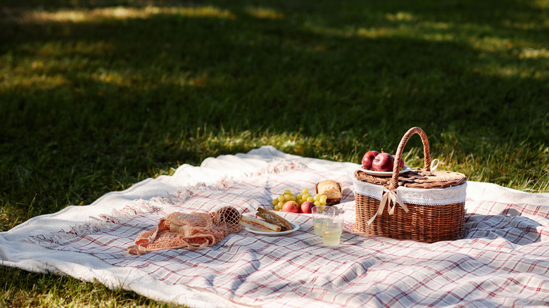 Blanket with picnic basket, drinks, fruits, and sandwiches on grass