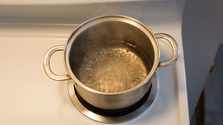 Pot of boiling water on stovetop