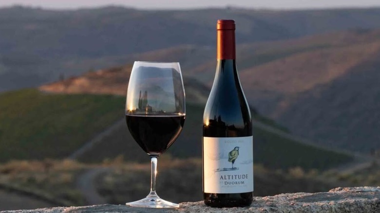 bottle and glass of red wine against landscape