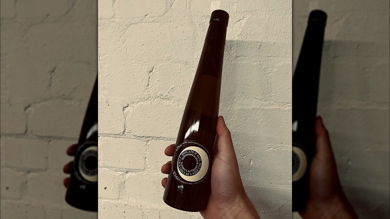 hand holding long wine bottle against white wall