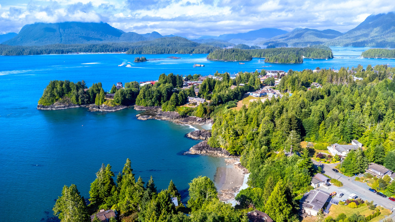 Tofino on Vancouver Island in the Salish Sea with pines and roads