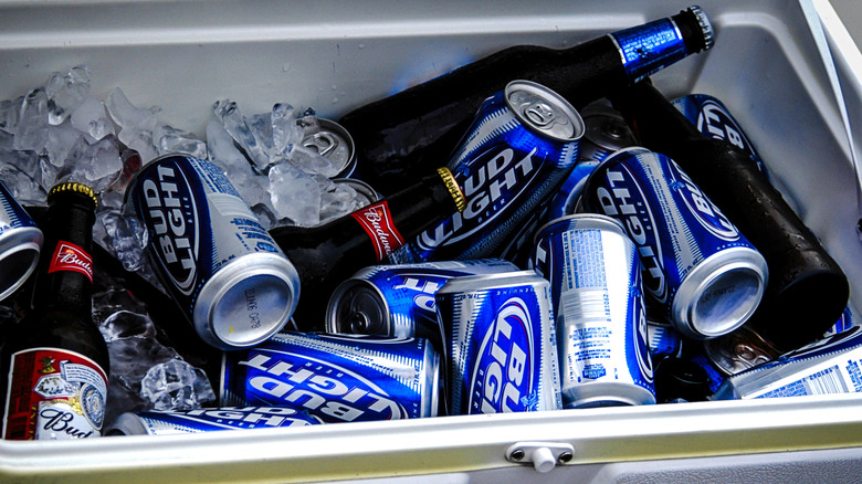 An ice-packed cooler filled with cans and bottles of Bud Light