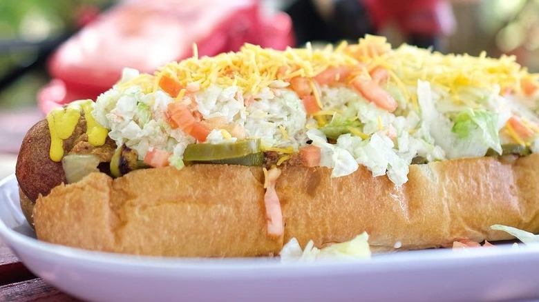 Close-up of The Homewrecker from Hillbilly Hotdogs on white plate
