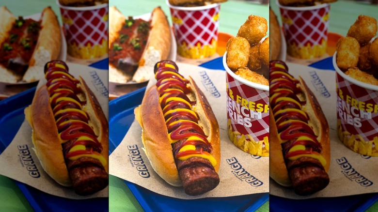 Hot dog with ketchup and mustard drizzle on paper and blue tray next to bucket of tater tots
