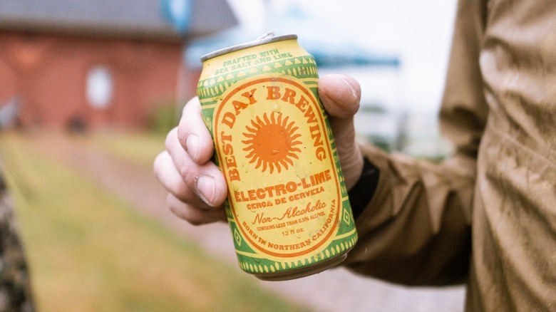 Hand holding a can of Electro-lime